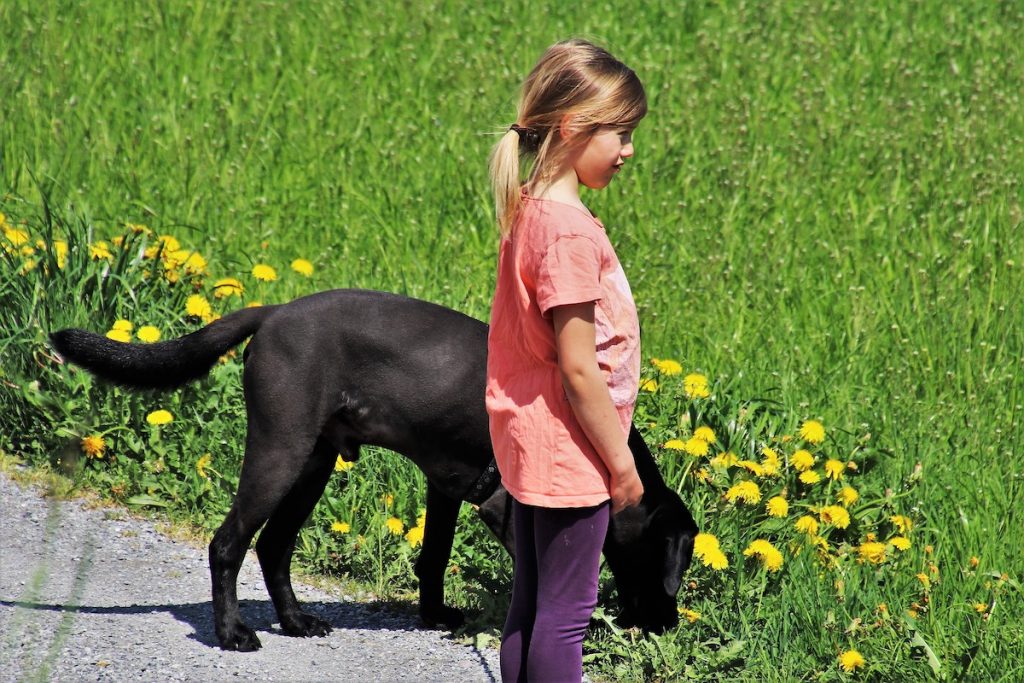 Dog and child exploring their surroundings together