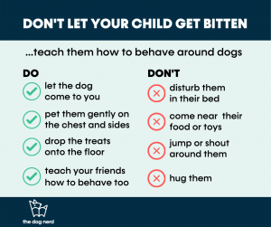 do's and don'ts around dogs - let them come to you, pet them gently on sides, drop treats on the floor, don't disturb them i their bed, don't come near their toys, don't hug them