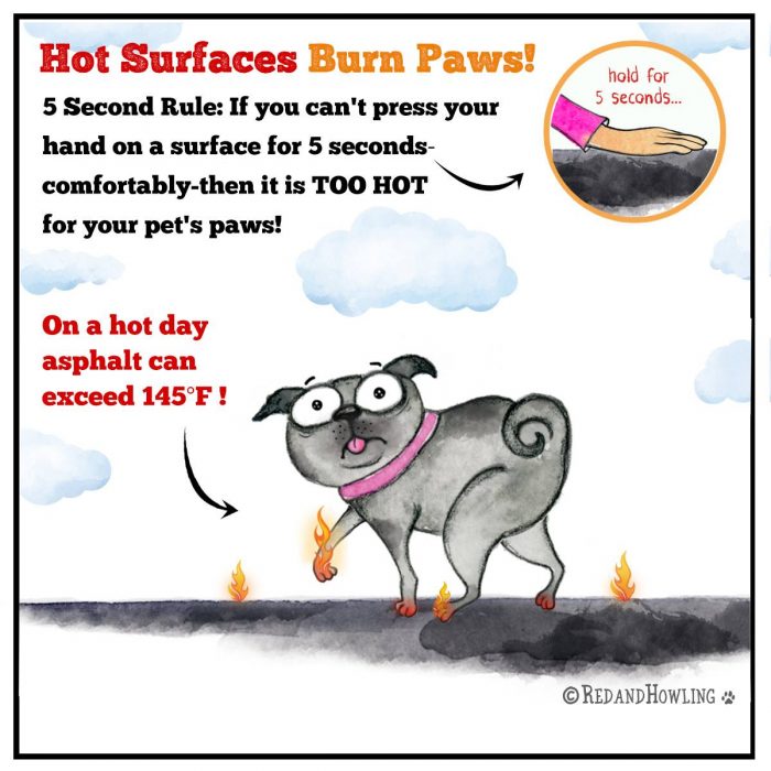 Hot surfaces burn paws! If you can't press your hand on a surface comfortably for 5 seconds then it's too hot for your pet's paws!