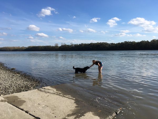 a black dog and a human in the Danube