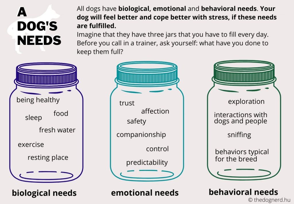Dogs have biological (they’re healthy, rest enough, have access to fresh water at all times...), emotional (companionship, safety, trust, fun…) and behavioral needs (exploration, sniffing, social interactions...)