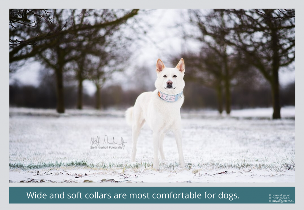 broad collars are the most comfortable for dogs