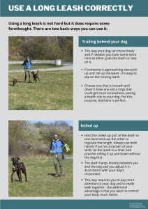 you can either let the long leash trail behind your dog, or roll it back and forth as you go. always gather the leash if someone is approaching.