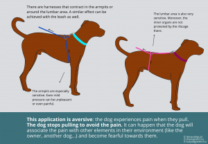 harnesses that tighter around the lumbar area or around the armipts are aversive (dogs stop pulling to avoid discomfort/pain)