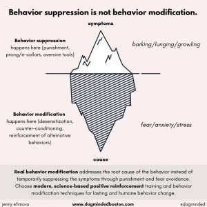 behavior suppression works by punishing symptoms (barking, lunging), behavior modification seeks to address the underlying causes (stress, pain...)